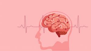 Optimizing Stroke Mortality Prediction: A Comprehensive Study on Risk Factors Analysis and Hyperparameter Tuning Techniques